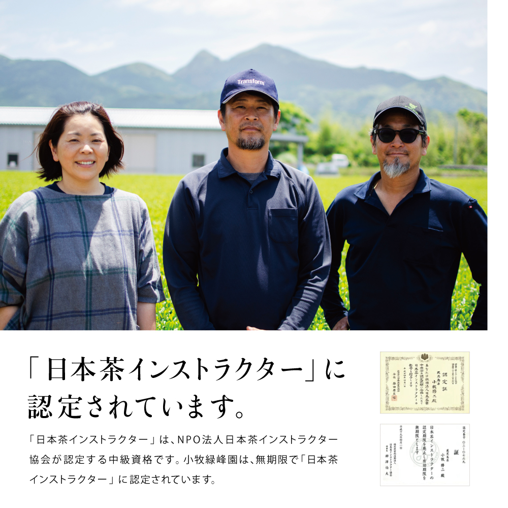 【日本茶AWARD受賞】高級深蒸し茶「さえみどり」 5本セット (100g×5袋) ギフト 贈答 鹿児島県産 かごしま お茶 日本茶 緑茶 茶葉 南さつま市 小牧緑峰園