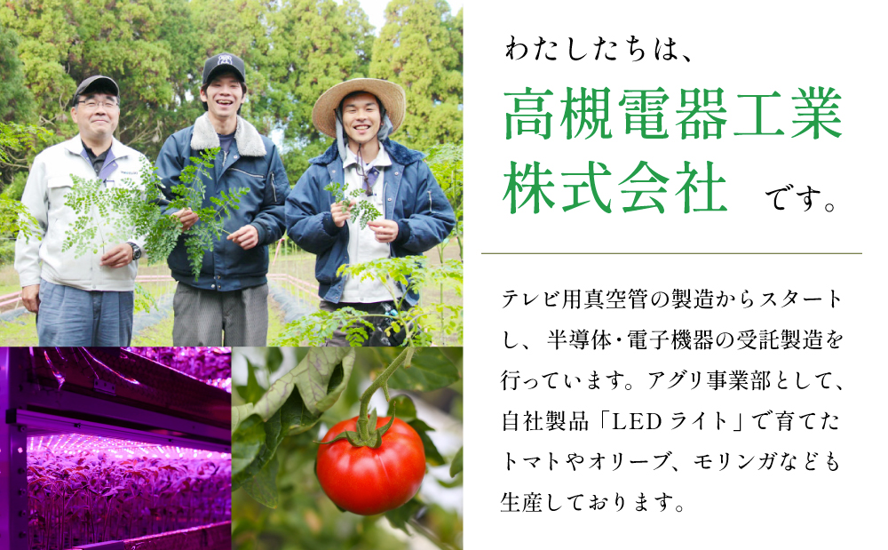 至高のトマト加工品詰合せ 3種類 南国 フルーツトマト100%使用 薩摩甘照 さつまあまてらす トマトジュース トマトケチャップ 濃厚 コク 甘み 天然素材 とまと 野菜 飲料 ドリンク ギフト 贈り物 贈答用 化粧箱入り 高槻電器工業 南さつま市