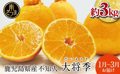 【1月～3月発送】 鹿児島県産 不知火「大将季」（だいまさき）約3kg 果物 フルーツ 柑橘 みかん しらぬい ブランド 常温 JA 南さつま市