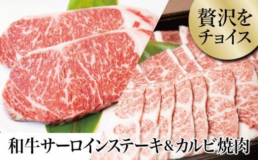 【鹿児島県産】 黒毛和牛 サーロインステーキ 320g＆カルビ 焼肉 300g