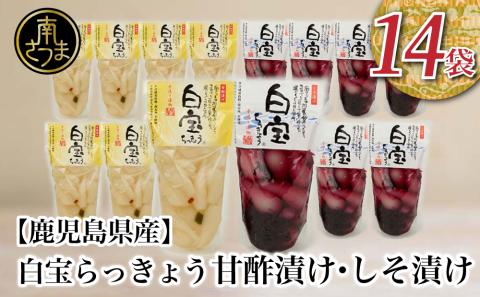 【鹿児島県産】白宝らっきょう 14P（甘酢漬け×7P・しそ漬け7P）