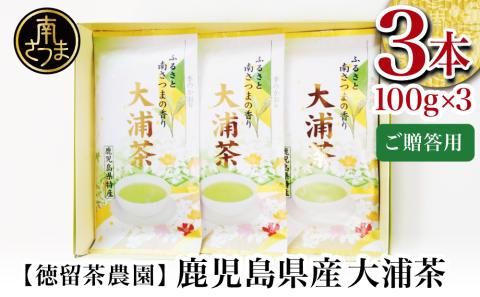 【贈答用】鹿児島県産緑茶 大浦茶 一番茶 3本セット 計300g（100g×3） 鹿児島県産 かごしま お茶 日本茶 緑茶 茶葉 南さつま市 徳留茶農園