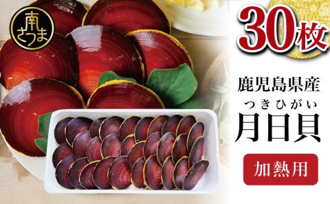 【漁師厳選】希少 鹿児島特産 月日貝 30枚