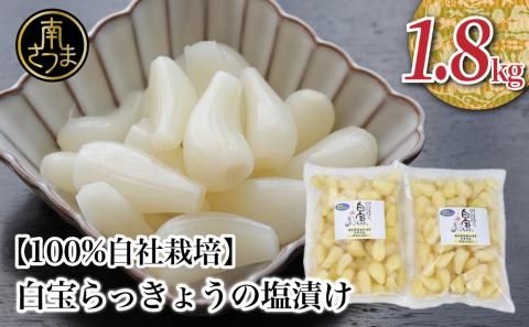 【鹿児島県産】白宝らっきょうの塩漬け 900g×2P