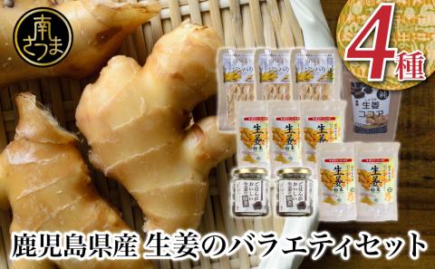 【健康習慣】生姜のバラエティセット 4種