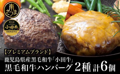 【プレミアムブランド】鹿児島県産黒毛和牛「小田牛」 牛肉100％ 2種類のハンバーグステーキ 計6個（120g×各3個）