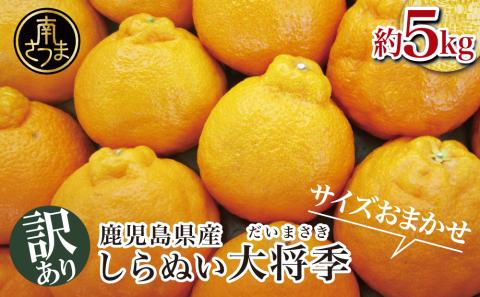 【訳あり】◆12月中お届け◆ 鹿児島県産 不知火「大将季」約5kg フルーツ 果物 柑橘 みかん しらぬい 旬 南さつま市