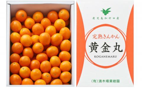 ◆先行受付◆2月～3月末発送【鹿児島県南さつま市産】完熟金柑 黄金丸 約2kg（L～2L) きんかん 柑橘 旬 フルーツ 果物 常温 南さつま市