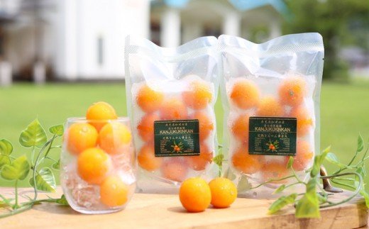 【鹿児島県南さつま市産】完熟金柑 黄金丸（冷凍保存）