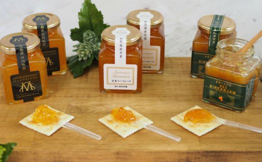 【鹿児島県南さつま市産】マーマレードセット 6本（3種）