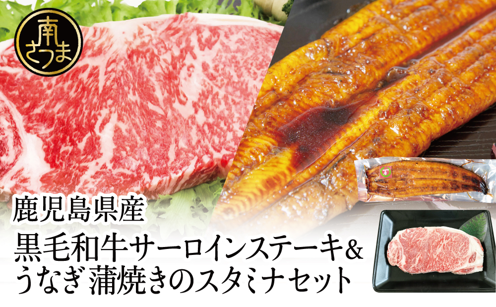 鹿児島県産黒毛和牛サーロインステーキ＆国産うなぎ蒲焼き スタミナセット（同梱発送） 牛肉 サーロイン 国産 鰻 贈答 冷凍 スターゼン ギフト 南さつま市