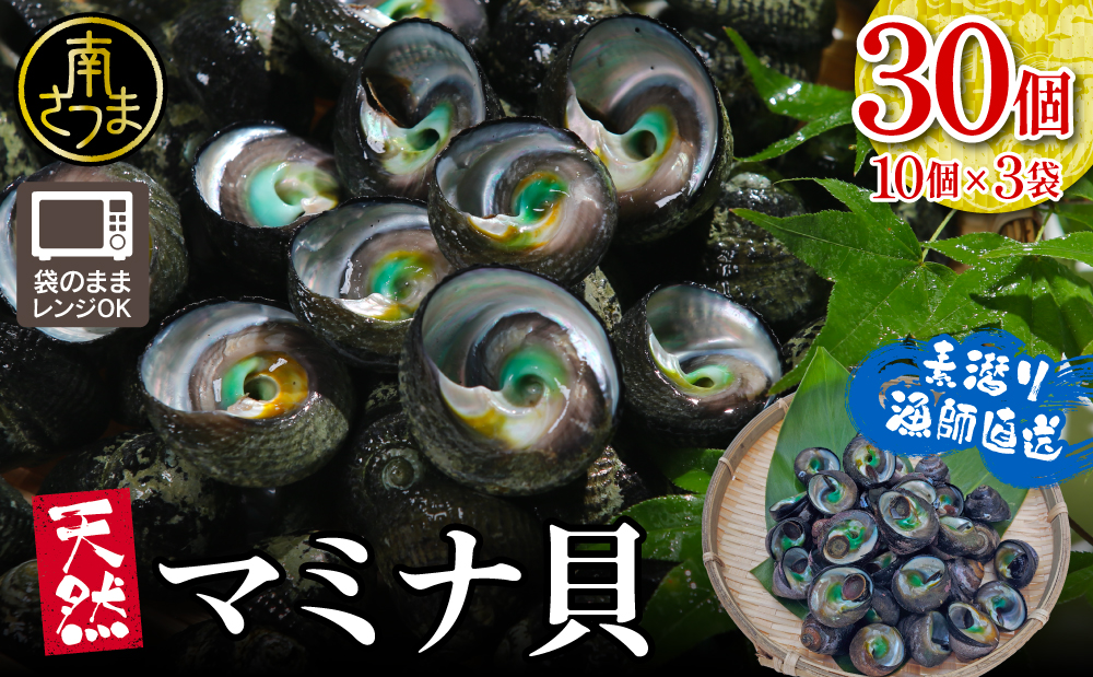 【素潜り漁師直送】【袋に入った冷凍のままでレンジ対応】【南さつま市 笠沙産 天然マミナ貝】