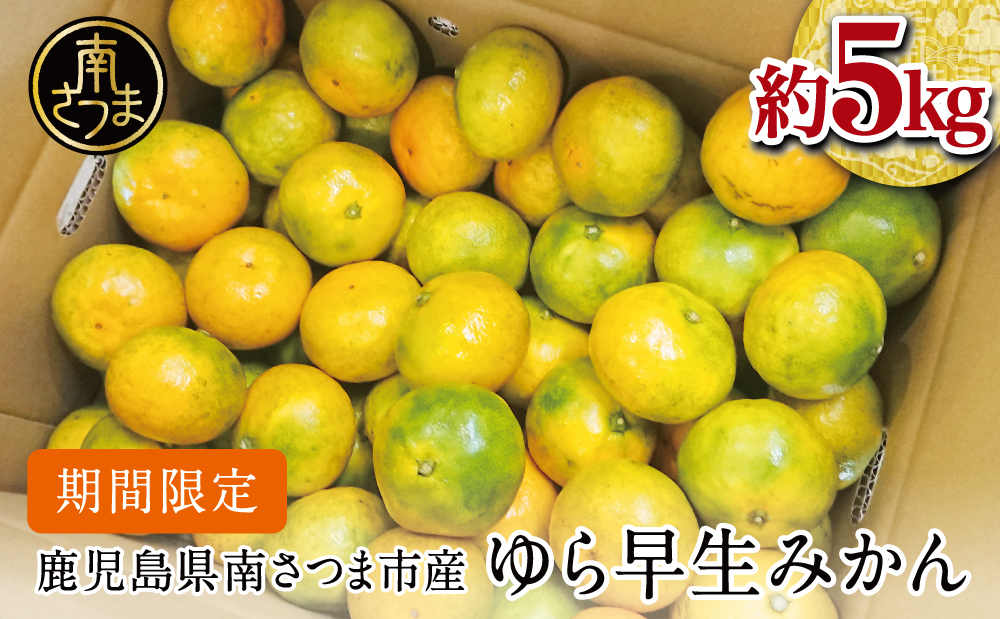 【2025年 先行予約 】 鹿児島県産 ゆら早生みかん 約5kg ≪ 期間限定 ≫ 柑橘 くだもの フルーツ 果実 みかん ミカン 蜜柑 温州みかん 極早生 わせみかん 甘味 ジューシー 鹿児島県南さつま市産 国産 国内産 JA南さつま