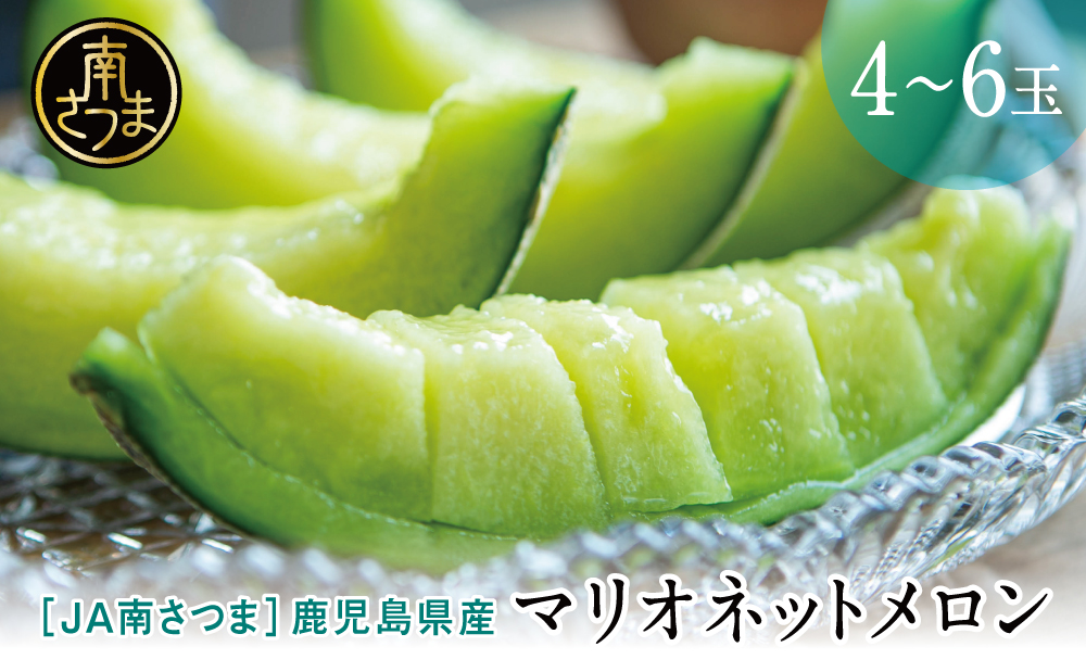 ◆5月出荷開始・数量限定◆鹿児島県産 マリオネットメロン 4～6玉 フルーツ メロン 果物 JA 南さつま