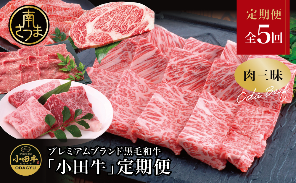 【全5回】プレミアムブランド「小田牛」定期便［肉三昧］ 鹿児島県産 黒毛和牛 ステーキ リブステーキ すき焼き 焼肉 BBQ カタロース カルビ モモ ソース 冷凍 小田畜産 南さつま市