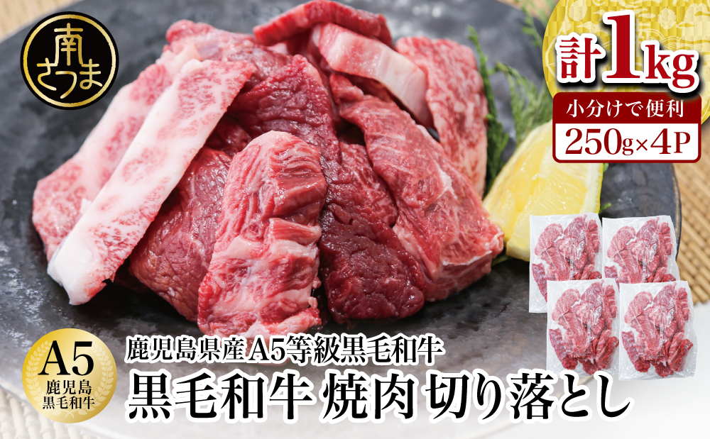 鹿児島県産 A5等級 黒毛和牛 焼肉 切り落とし 計1kg（250g×4P）国産牛 牛肉 和牛 国産 焼き肉 切落し おまかせ サイズ不揃い BBQ バーベキュー 小分けパック 冷凍 カミチク 南さつま市