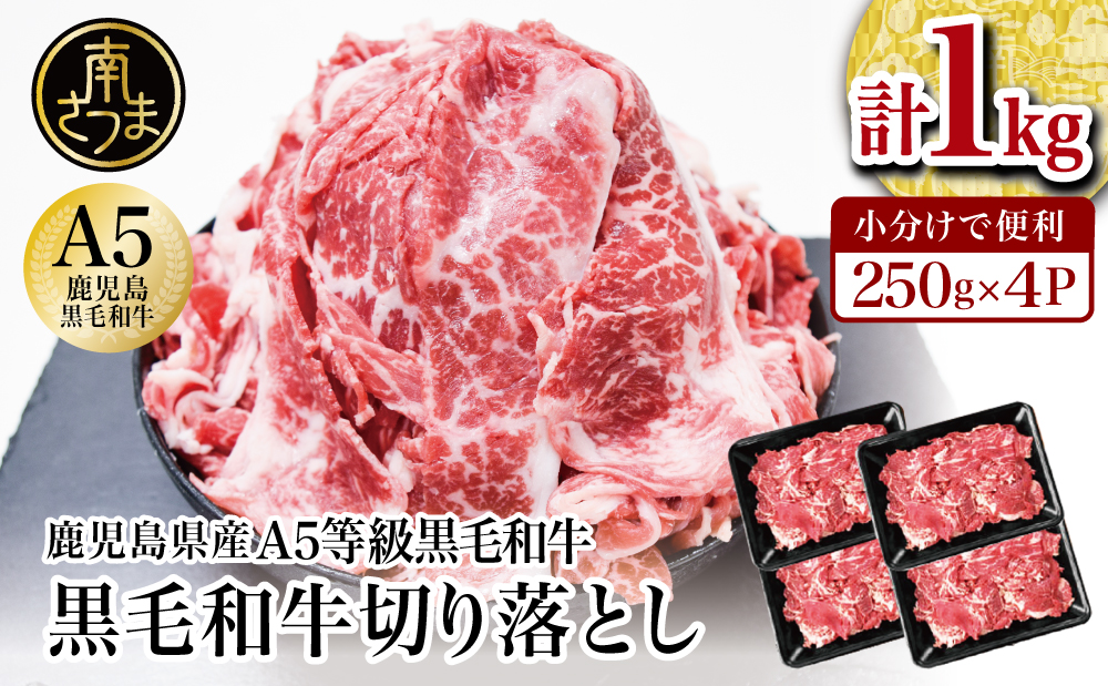 【鹿児島県産】A5等級黒毛和牛切落し 計1kg（250g×4P） 国産牛 牛肉 国産 おかず カレー 牛丼 肉じゃが カミチク 切り落とし 小分けパック 冷凍