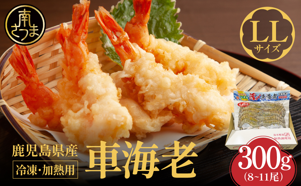 【鹿児島県産】冷凍 車海老 LLサイズ 300g （加熱用） 車エビ 車えび くるまえび 海老 エビ えび 海の幸 海鮮 九州 国産 魚介 魚介類 真空パック 天ぷら エビフライ エビチリ 冷凍 南さつま市