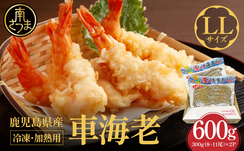 【鹿児島県産】冷凍 車海老 LLサイズ 600g （加熱用） 車エビ 車えび くるまえび 海老 エビ えび 海の幸 海鮮 九州 国産 魚介 魚介類 真空パック 天ぷら エビフライ エビチリ 冷凍 南さつま市