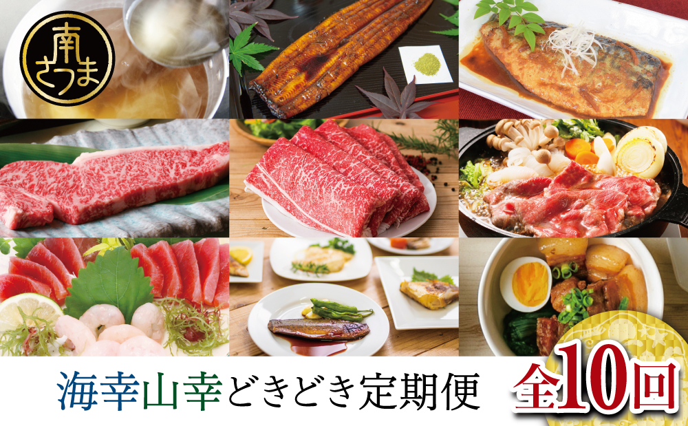 海幸山幸どきどき定期便（全10回）