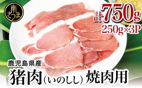 [南さつまジビエ]鹿児島県南さつま産 猪(いのしし)肉 焼肉用 750g(250g×3P)