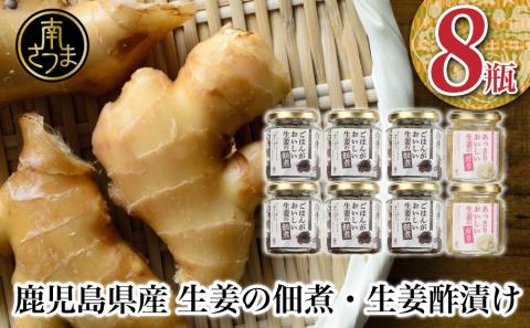 [健康習慣]生姜の佃煮・生姜酢漬け 2種 計8個