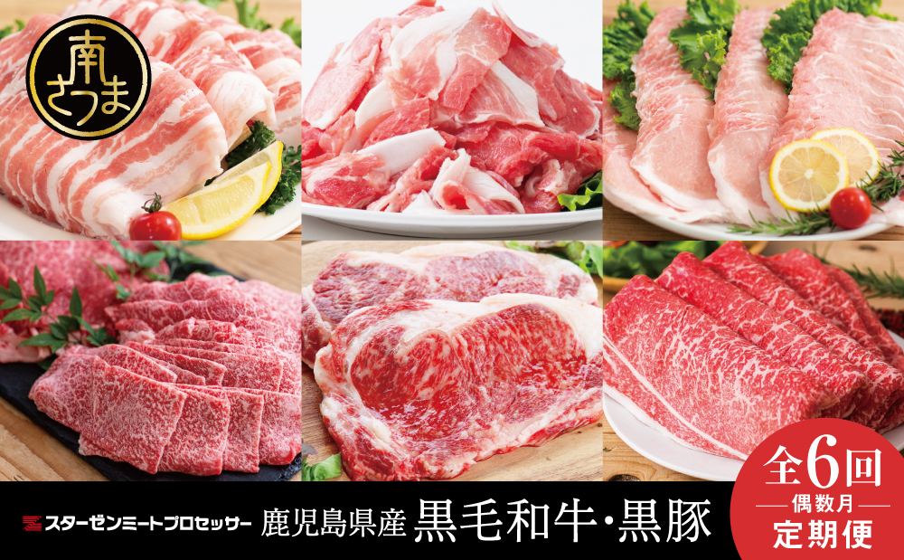[定期便 全6回]スターゼン厳選お肉の定期便(鹿児島県産黒毛和牛・黒豚)