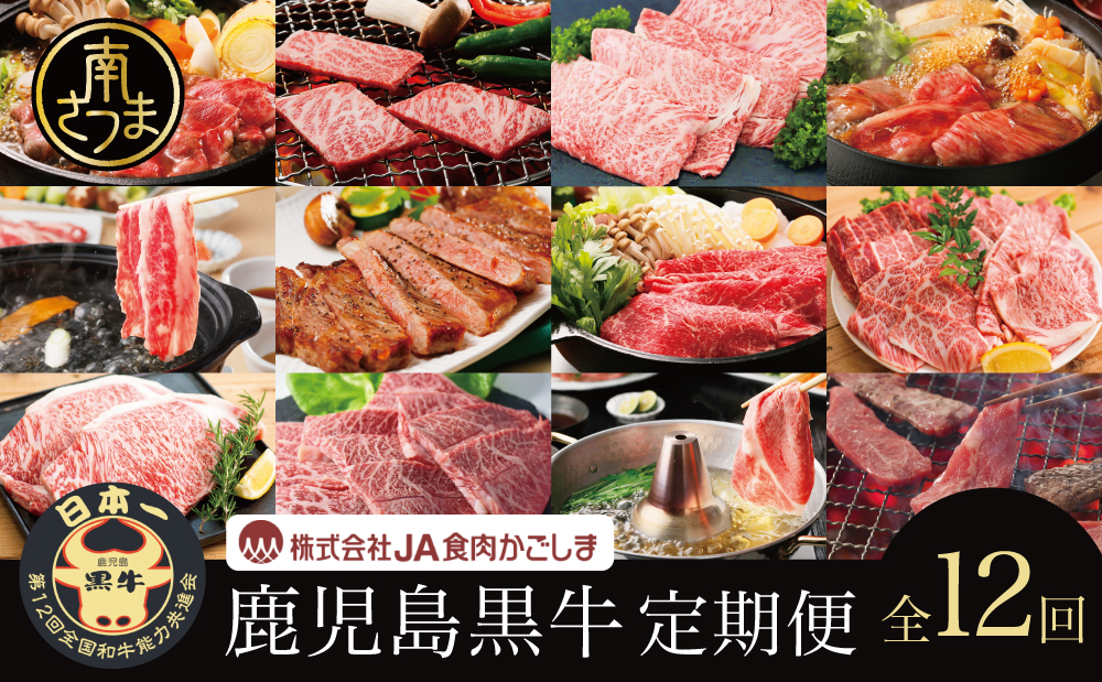 [JA食肉かごしま]鹿児島黒牛定期便(全12回)