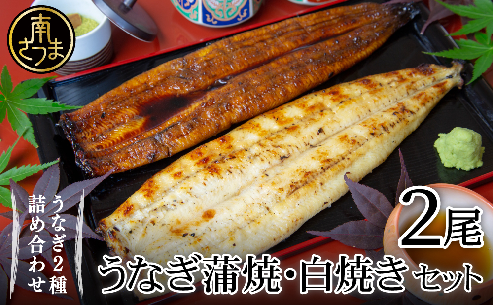【鹿児島県産 鰻】うなぎ専門店「万のせ」うなぎ蒲焼・白焼きセット（手焼き）各1尾 (約160g) 計2尾 ジューシー スタミナ ウナギ 鰻 蒲焼き 鹿児島県産 ギフト うな重 たれ だし 出汁付き ひつまぶし 山椒 わさび 土用の丑 丑の日 冷凍 簡単調理 贈り物 南さつま市