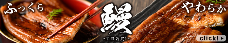 志布志市が誇る鰻 返礼品