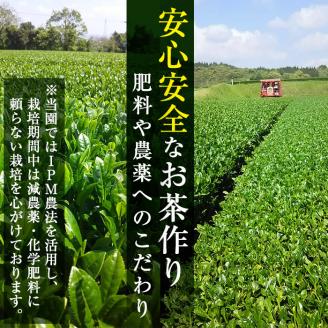 茶畑直送　飲み比べ！バラエティーセット a5-018