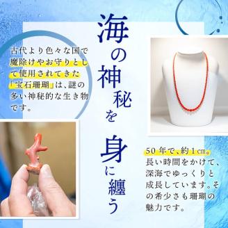 【数量限定】赤珊瑚丸玉デザインネックレス (赤珊瑚:約5.3mm×1.4mm×2) 珊瑚 サンゴ アクセサリー ネックレス b5-085