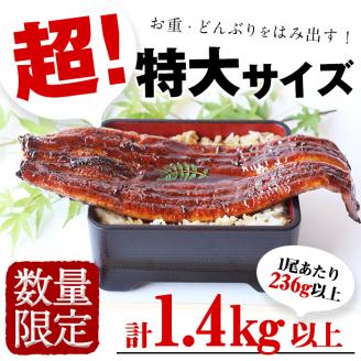 【数量限定】超特大！鹿児島県産 山田水産の霧島湧水鰻(計1400g以上・236g以上×6尾) うなぎ 鰻 ウナギ 6尾 国産 九州産 蒲焼き かばやき 冷凍 うな重 ひつまぶし タレ 山椒 人気 c5-039