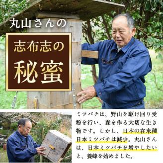 日本みつばちの純粋蜂蜜＜志布志の秘蜜＞(280g×1本) a3-179