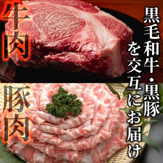 【定期便全6回】黒毛和牛・黒豚を交互にお届け！＜志布志牛・豚 満足定期コース＞計6.3kg超！定期便 牛肉 豚肉 サーロイン スライス 切り落とし 黒豚 ロース 豚ロース 豚バラ しゃぶしゃぶ すき焼き 焼肉 国産 t0100-026-02