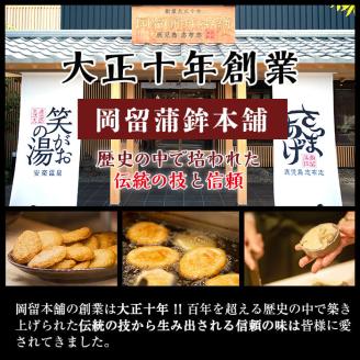 本場鹿児島のさつま揚げセット(平天・いわし天 全2種 計8枚) p9-020