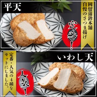 本場鹿児島のさつま揚げセット(全4種・計8枚) p9-021