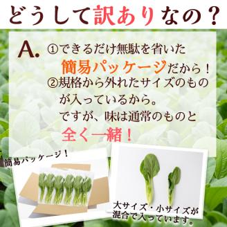 【期間限定・訳あり】志布志湾小松菜ゴールド(計1kg 200g×5袋) 小松菜 こまつな こまつ菜 野菜 やさい 小分け パスタ ナムル スムージー ラーメン 炊き込みご飯 期間限定 訳あり 訳アリ 鹿児島県産 志布志 p8-147