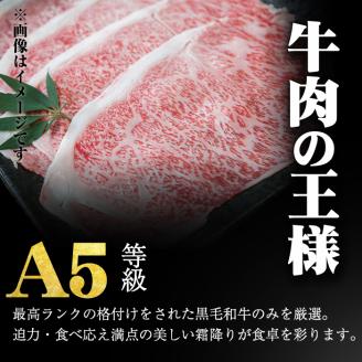 「牛肉の王様」A5等級鹿児島県産黒毛和牛サーロインスライス1kg(200g×5パック)！ b7-015