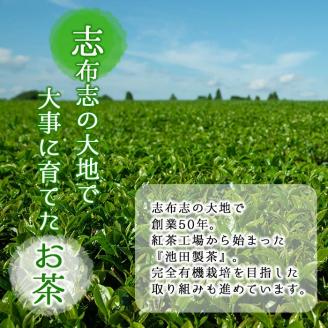 鹿児島県志布志産＜一番茶のみ使用＞緑茶のうまみを感じるボトルセット(100g×3袋・ハリオフィルターインボトル) 緑茶 お茶 日本茶 3袋 碧香 冷茶 温茶 ボトル 一番茶 a5-324