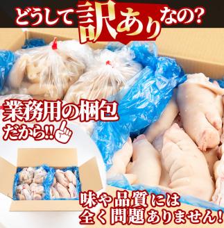 【訳あり・業務用】豚足3種セット 合計10kg a5-222