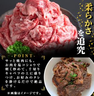 鹿児島県志布志市産横峯黒毛和牛の切り落とし肉(計1kg・125g×8P) 鹿児島県産 国産 牛肉 牛 スライス 切り落とし 焼き肉 希少牛 小分け モモ ウデ バーベキュー BBQ すき焼き しゃぶしゃぶ c9-002