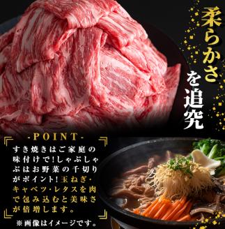 鹿児島県志布志市産横峯黒毛和牛の赤身すき焼き・しゃぶしゃぶ肉(計700g・350g×2P) 鹿児島県産 国産 牛肉 牛 スライス 希少牛 モモ ウデ バーベキュー BBQ すき焼き しゃぶしゃぶ c0-120