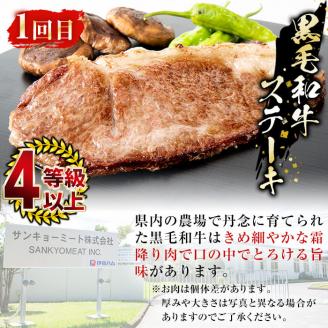 【定期便全2回】鰻と肉の定期便！ステーキ4枚と鰻蒲焼4尾をお届け！ t0054-004