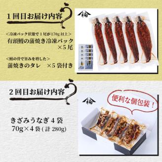 【定期便全5回】うなぎ2.1kg！5ヶ月間うなぎが楽しめる定期便！ t0098-001