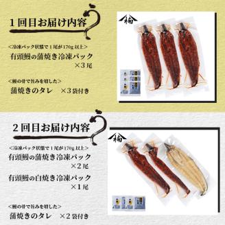 【定期便全3回】蒲焼きと白焼きが楽しめる贅沢定期便！ t0066-001