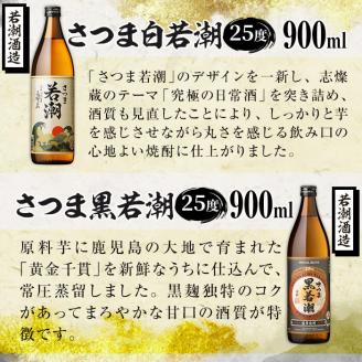 ＜入金確認後、2週間以内に発送！＞若潮酒造の本格芋焼酎10種飲み比べセット 計12本 d9-002-2w