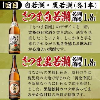 ≪定期便・全3回≫志布志の本格芋焼酎を飲み比べ！志布志焼酎紀行 計10L以上 t0059-001
