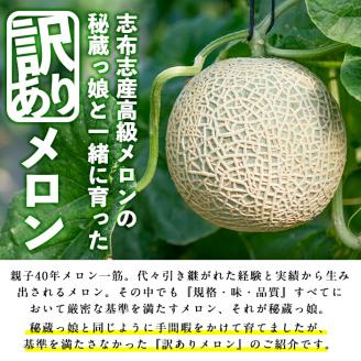 【春限定・数量限定】牧さんの訳ありメロン 赤玉(赤肉)1玉 メロン マスクメロン 果物 くだもの デザート 赤肉 訳ありa1-057-s