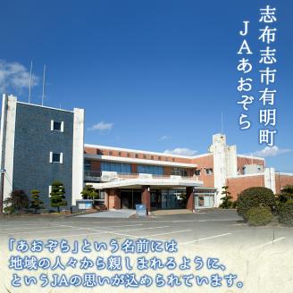 【定期便全2回】鹿児島県産紅はるかで作った熟し芋と石焼き芋のお楽しみ便＜計3.8kg＞ t0032-002